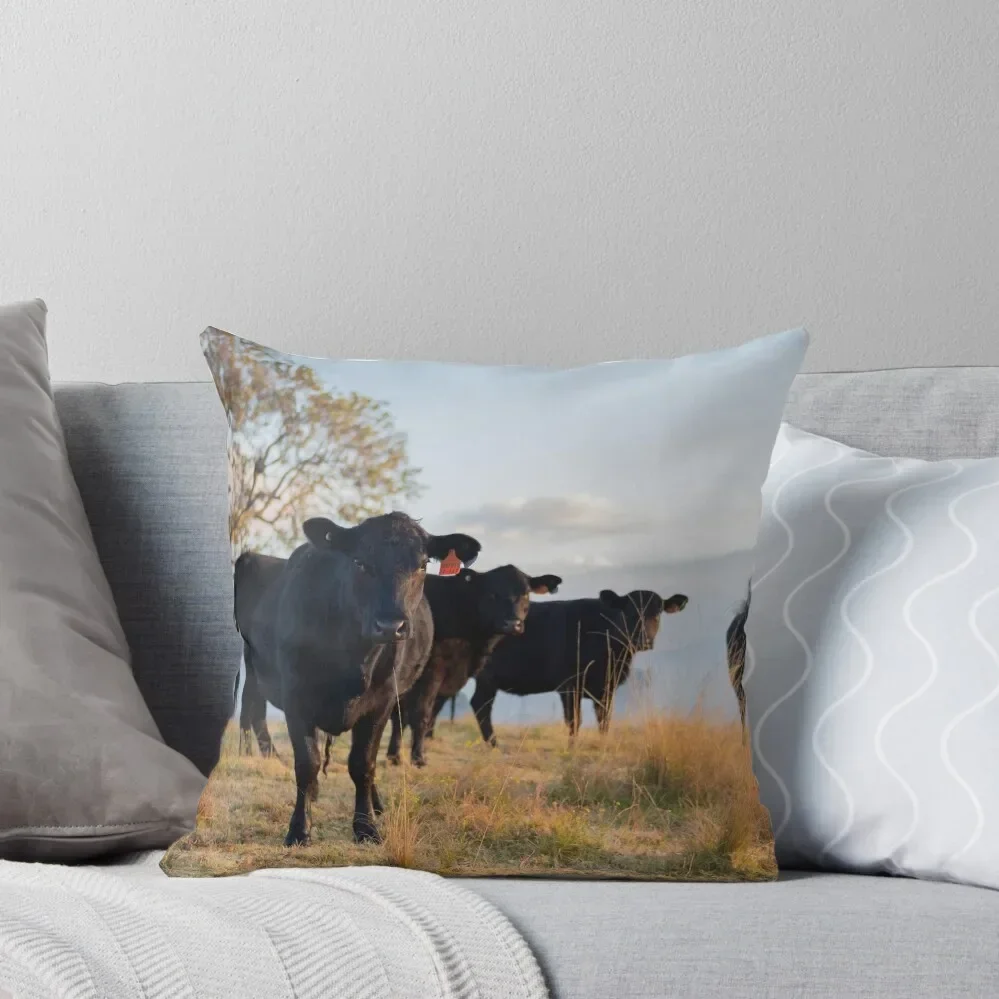 

Australian Country - Cows Throw Pillow Sofa Cover pillowcases for sofa cushions autumn decoration Pillow