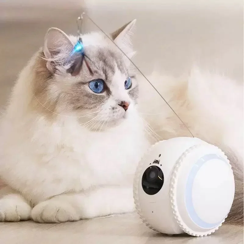 Smart Automatic Electric Interactive Rolling Pet Toy Eco-Friendly For Dogs And Cats