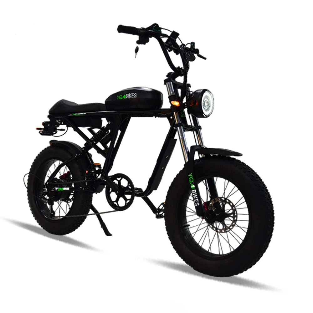 

USA Stock Free Shipping 1000W 20Ah 48V Big Tire Electric Dirt Bike Fat Pedal Assist Electric Motorcycle Bicycle Dual Suspension