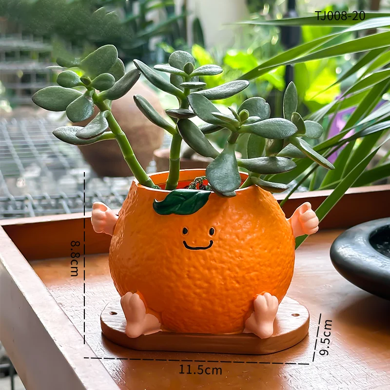 الإبداعية لطيف الوجه المبتسم البرتقالي الجلوس الموقف زهور عصارية في الهواء الطلق حديقة فناء زهرة بوعاء الديكور