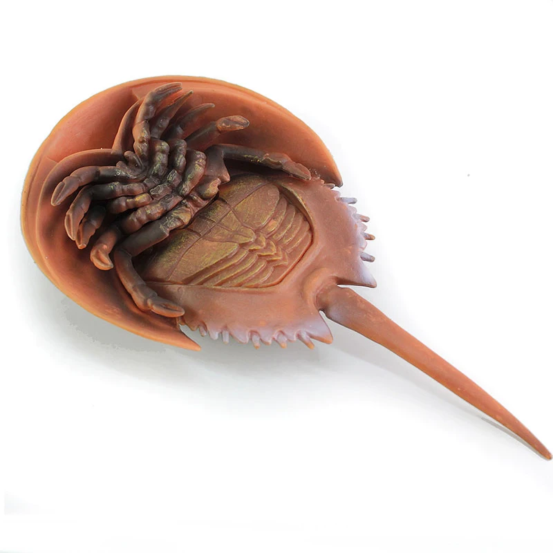 สัตว์ทะเล Horseshoe Crab Figurine - โมเดลพลาสติกอะนิเมะตัวเลข - ของเล่นเพื่อการศึกษาแสนสนุกสําหรับเด็กชาย เด็กหญิง และเด็กอายุ 3 ปีขึ้นไป