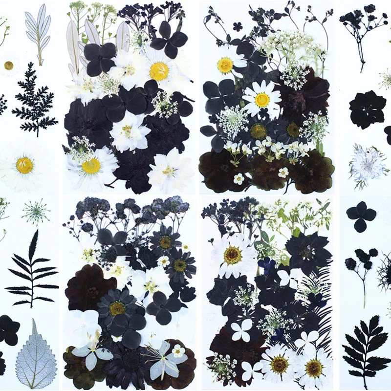 

30 Pieces of Ink Wash Black and White Dried Flowers for DIY Material Kit, Photo Frame Decoration, Pressed Flower Plant Specimens