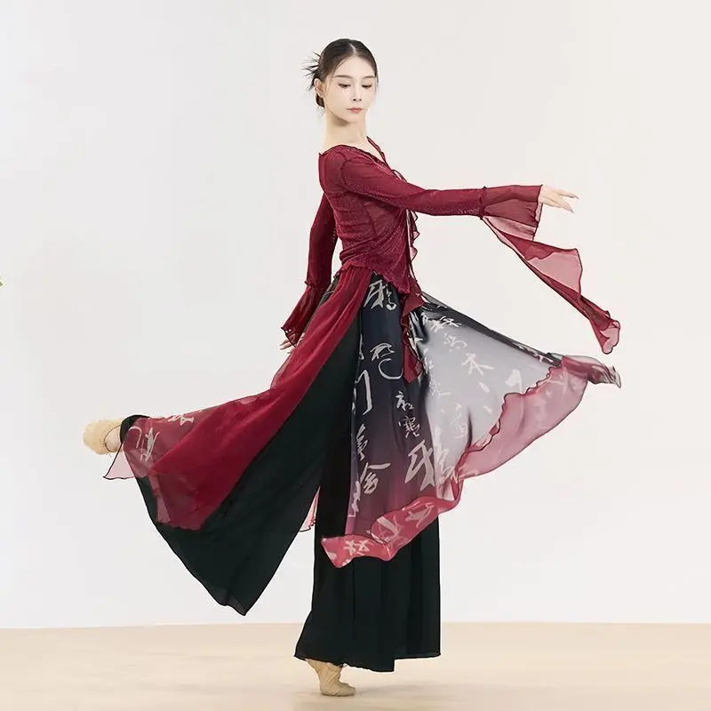 Long Sleeve T-Shirt Women's Classical Dance Costume Mesh Splice Elegant Dance Art Exam National Performance Pure Color Top