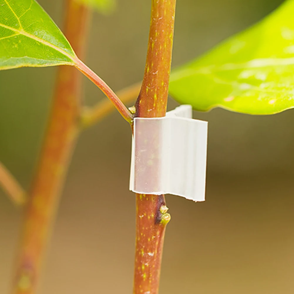 100pcs Clear Plastic Plant Clips for Securing Cuttings Graft Unions and Climbing Stems During Early Growth Stages