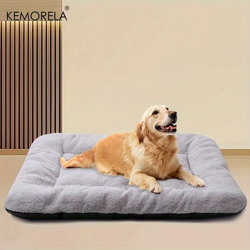 yZ[z2025Nǔœʂ݌pxbh ~pLpP[W}bg 蒴\tgybgpbh ^E^E^LEp