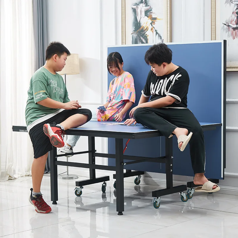 Medium Size Foldable Mobile Indoor Table Tennis Table with Wheels for Home Use Practice Table Tennis Table