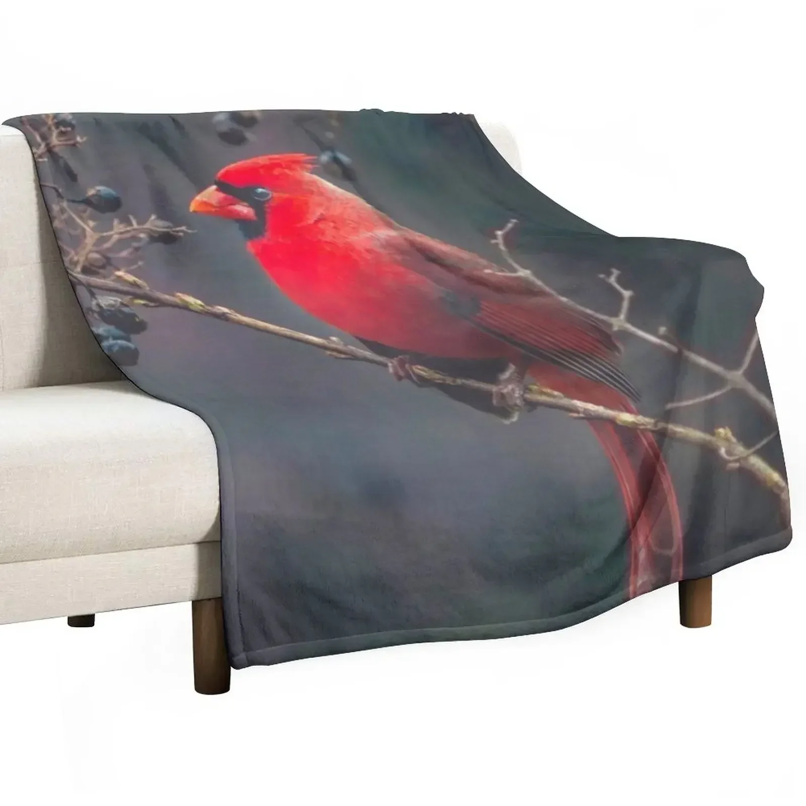 Cardinal On A Branch Throw Blanket warm winter Loose Soft Plush Plaid Blankets