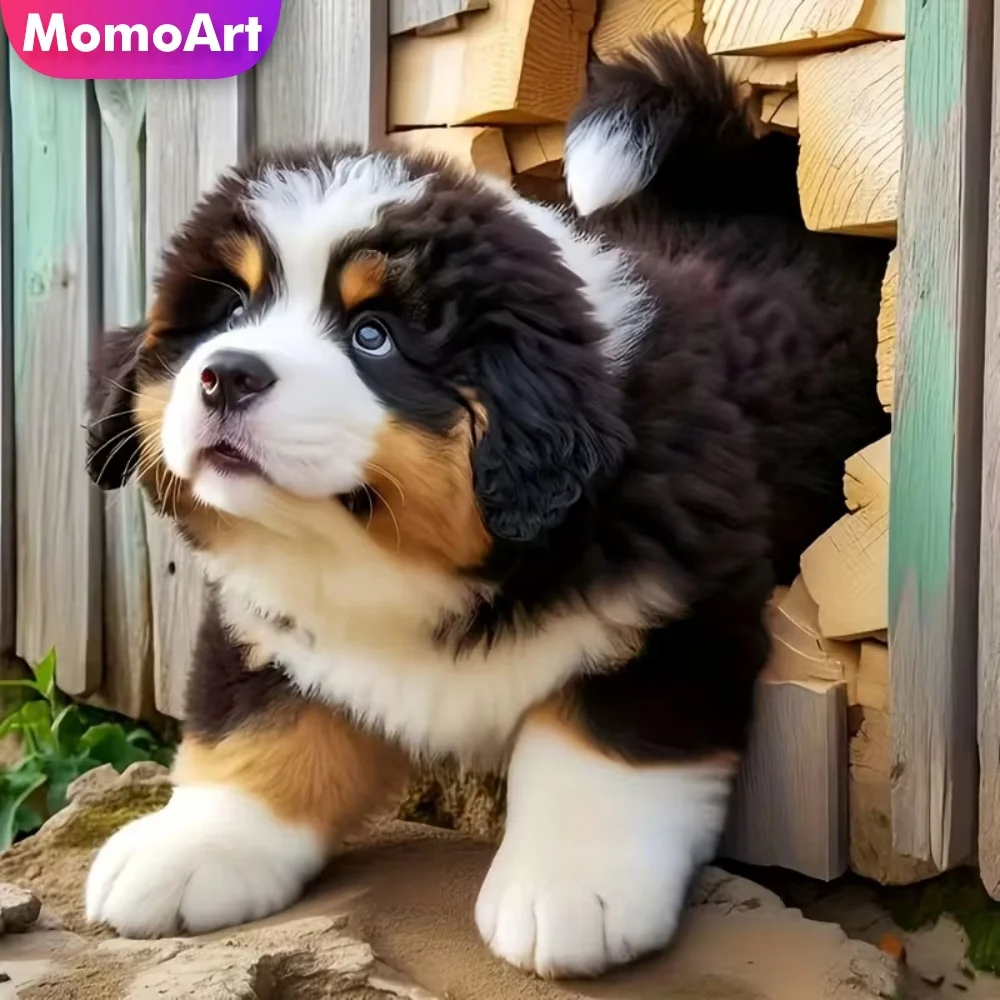 Momoart 5D DIY Elmas Mozaik Köpek Hayvan Resim Rhinestones Çapraz Dikiş Seti Boyama Akrilik Zanaat Malzemeleri El Yapımı Hobi