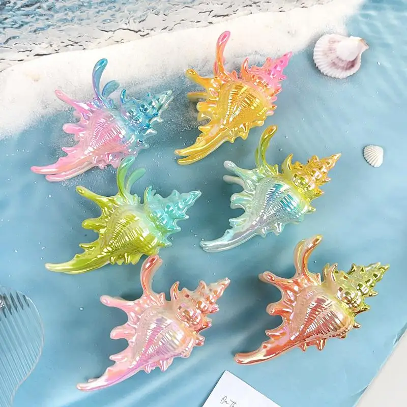 1Pcs Hair Claw Elegant Shark Clip Creative Conch Hairpin Colorful Gift For Summer Beach Headwear Hair Accessories