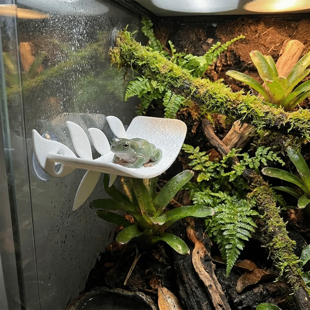 Leaf Shape Lizard Habitat Leaf Simulated Leaves Naturalistic Resting Terrace Suction Cups Plastic Reptile Basking Area