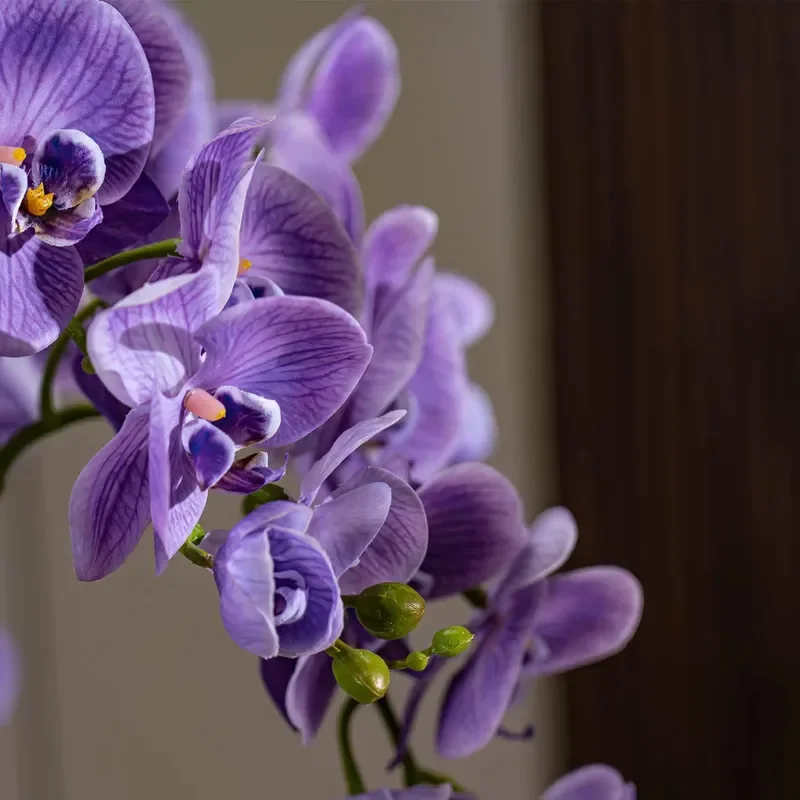 Artificial Orchid in Ceramic Pot Modern Home Decor Table Centerpiece Faux Flower Arrangement for Living Room Office Desk