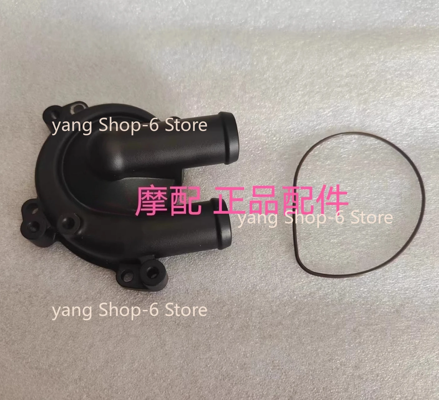 

Подходит для мотоцикла Benelli Leoncino 800: крышка водяного насоса, уплотнительное кольцо водяного насоса