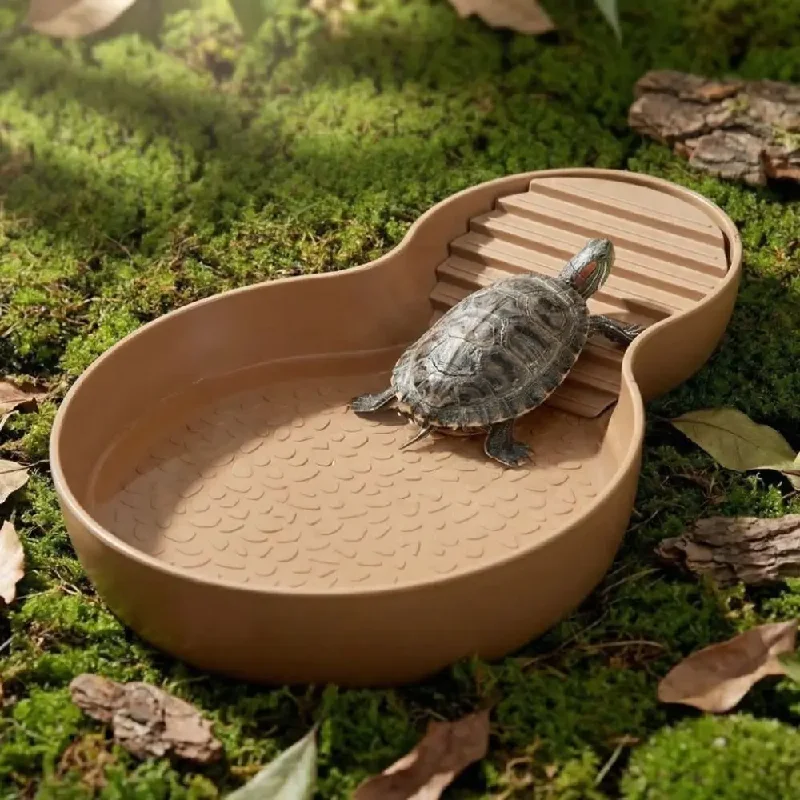 حوض استحمام للزواحف ذو فتحة وا - مراجعة Water Dish Reptile وسعره