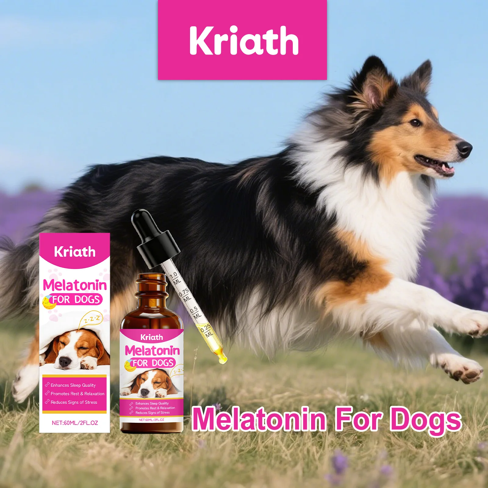 

Nourishing Dog Care Supplement Gentle Support Comfortable Stable Sleep Promote Relaxation Reduce Stress Signs Daily Wellness