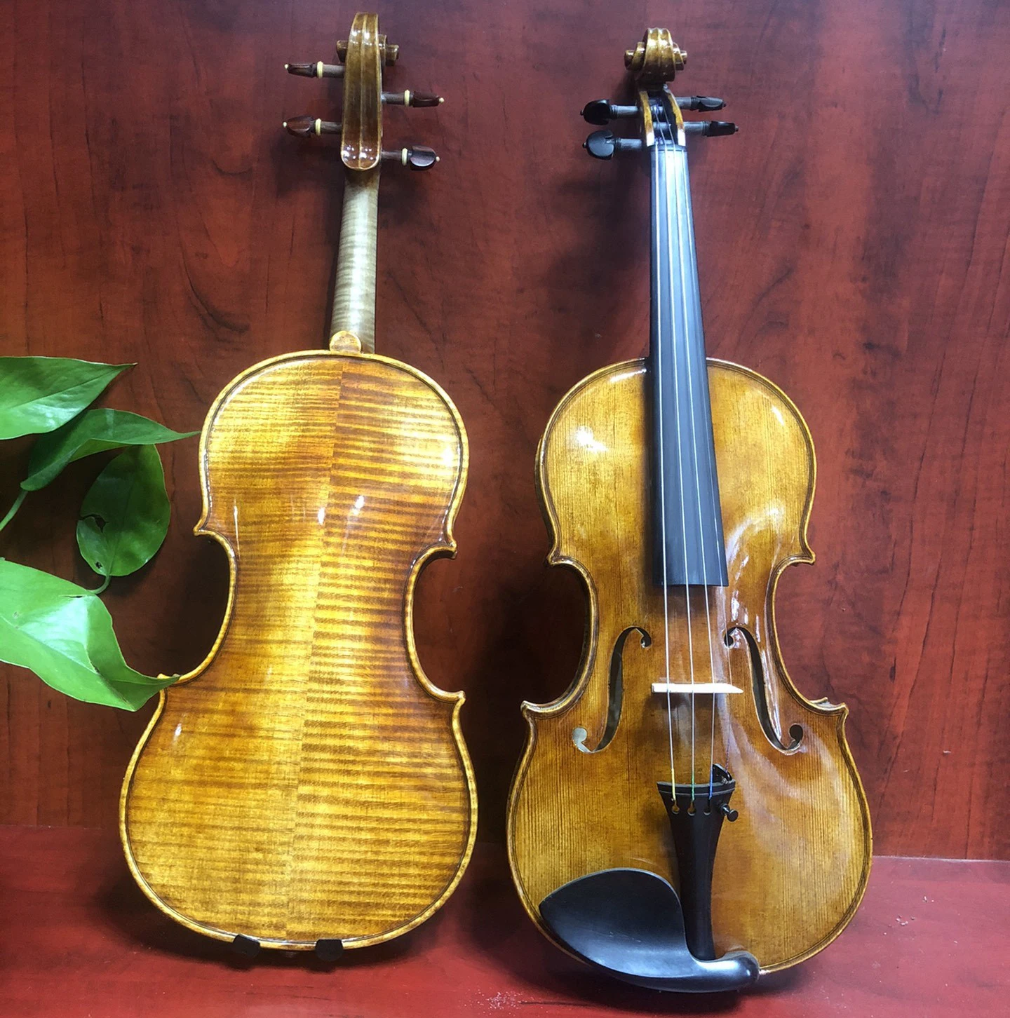 Professional violinist  Violin 4/4 Bohemia maple Antonio Stradivarius 바이올린 كمان vionlin musical instrument violino