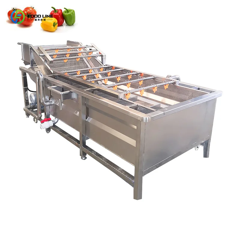 Customized Export Quality Bubble Cleaning Machine Fruit Vegetable Washing Processing Equipment