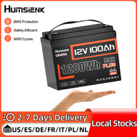 Humsienk LiFePO4 Battery 12V 100AH MAX 110A BMS 8000Cycles For Inverter, Motorhome, Solar System, Boat, Household,Golf Cart