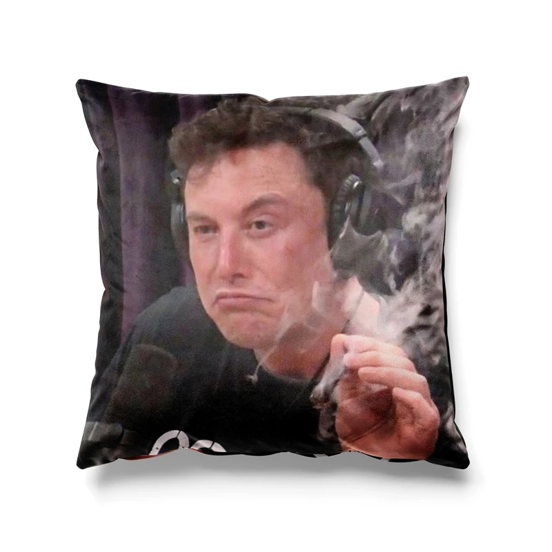 Aertemisi 18'' x 18'' Elon Musk Blunt Meme Square Throw Pillow Cushion Covers Cases Pillowcases for Sofa 45cm x 45cm