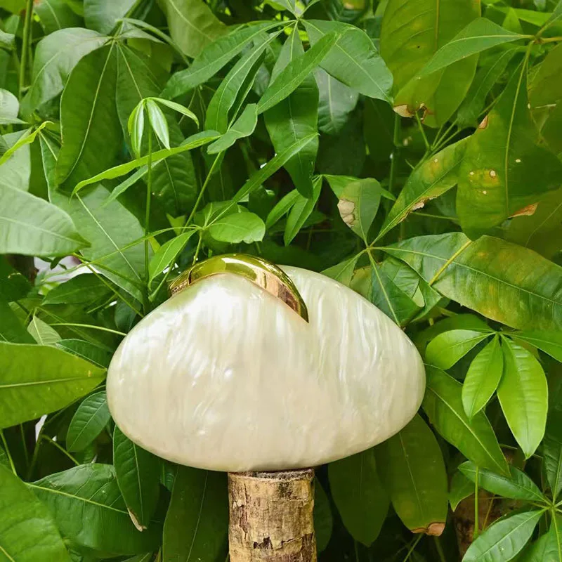 

Creative Amber Acrylic Mango Bag New European And American Fashion Niche Design Shoulder Bag Crossbody Box Bolso De Fiesta Mujer