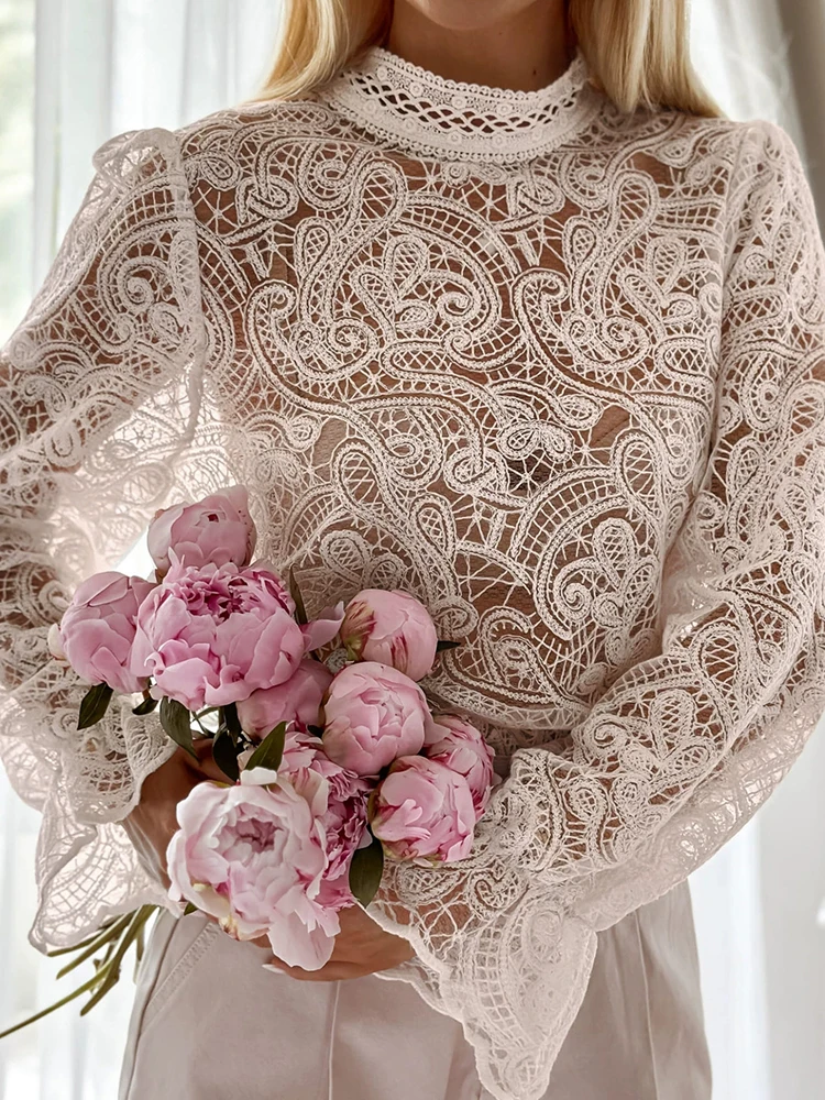 

Casual Solid Color Hollow Out Pullovers Elegant Half High Collar Commute Tops Spring Autumn New Lace Embroidery Women's Shirts