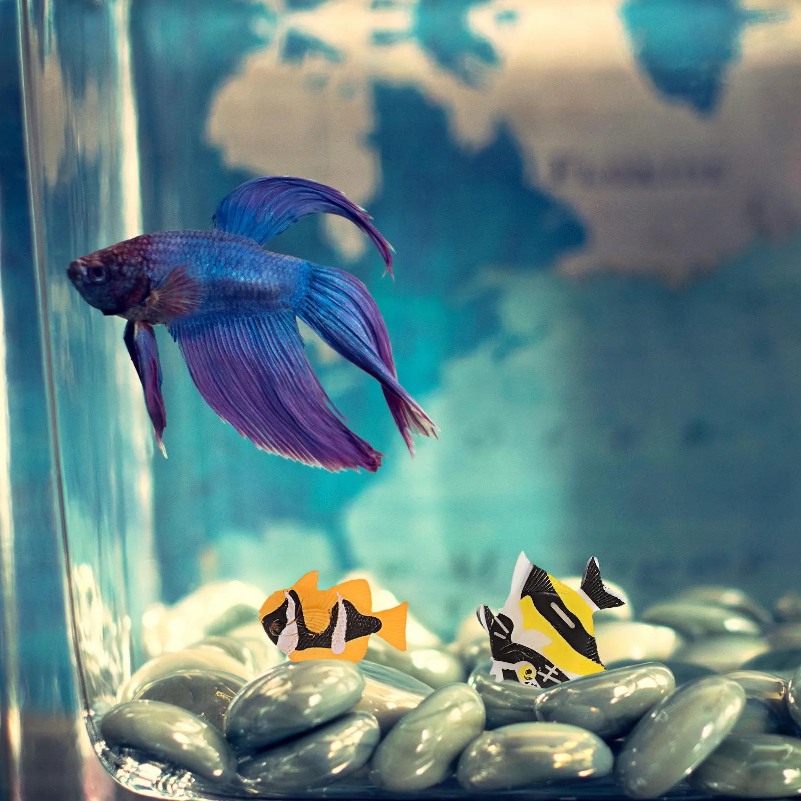 12 piezas de figuras de peces - Aquarium Decor reseña y precio