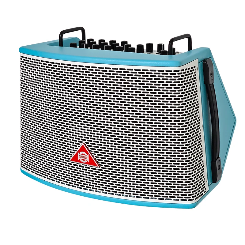 Newly Designed Professional Karaoke Player System with 4 Microphones for 240W Output Power for Home Theatre & Outdoor Use