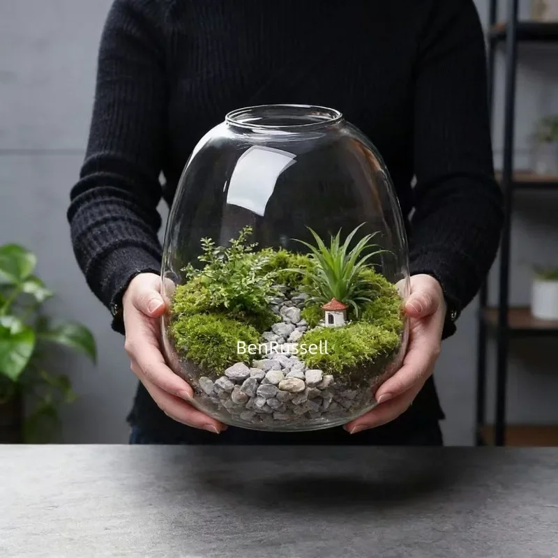 Micro Landscape Ecological Moss Green Plants Glass Bottle Decor Vase Hydroponic Bryophyte Plant Landscaping Glass Container