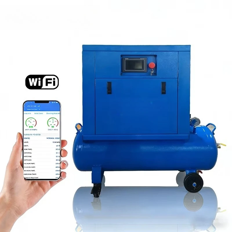 Mini Portable 2 in 1 Air Compressor Double Piston 220V High Pressure Tire Inflator Industrial Small Air Compressor