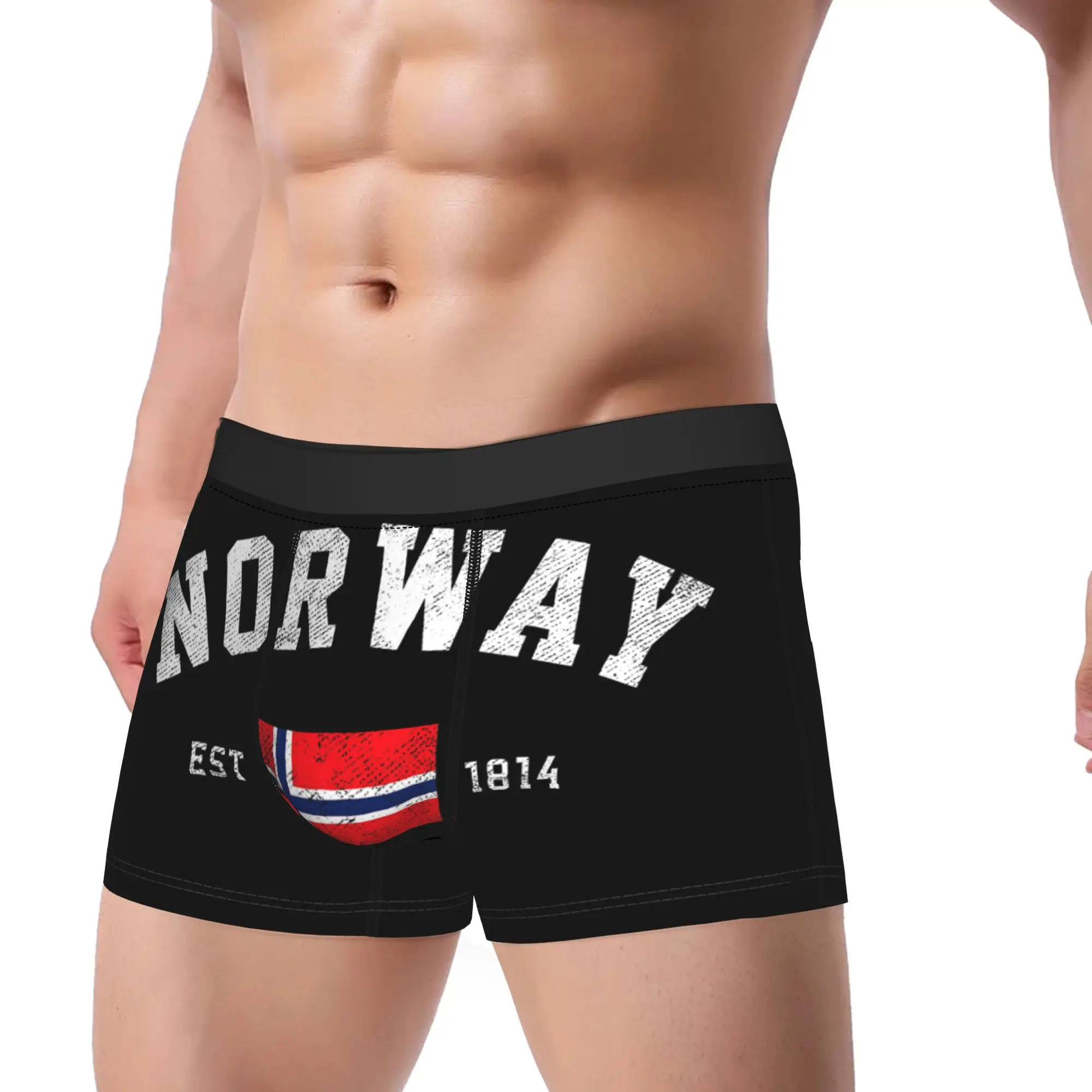 Norway Est. 1814 Norwegian Flag Independence Day Boxer Brief  Underwear Trenky Men Elastic Boxer Shorts Print Plus Size Panties