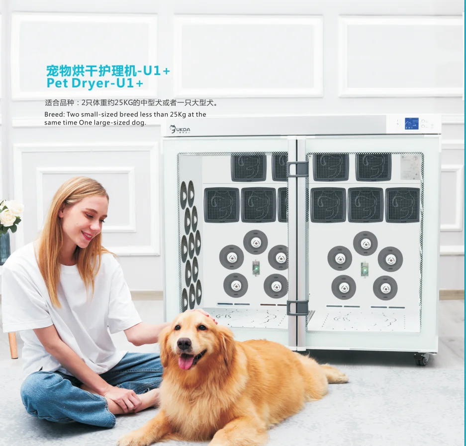 Pet Grooming Dryer Box Dog Fac - Pet Supplies Grooming Prices review and price