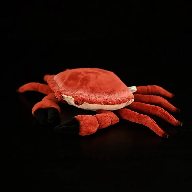 ZWY Original Realistic Bread Crab Plush Toy Edible Crab Stuffed Animal with Lifelike Unique Marine Creature Collectible Gift