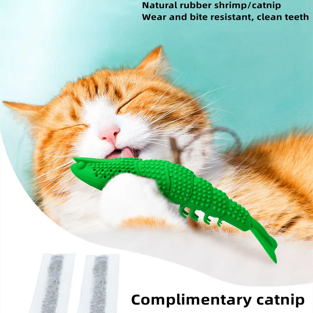 Cat Toothbrush Catnip Toy Cat Interactive Games Durable Hard Rubber 360 Degree Cleaning Dot Toothbrush Chew Toy Pet Dog Toy