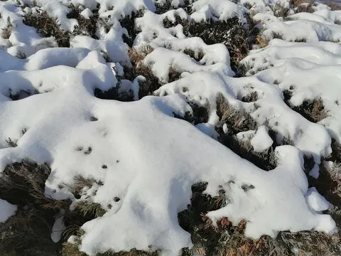 

4pcs 2.2 Inch Rubber Tyre 2.2 Wheel Tires 149x60mm For TRX4 SCX10 90046