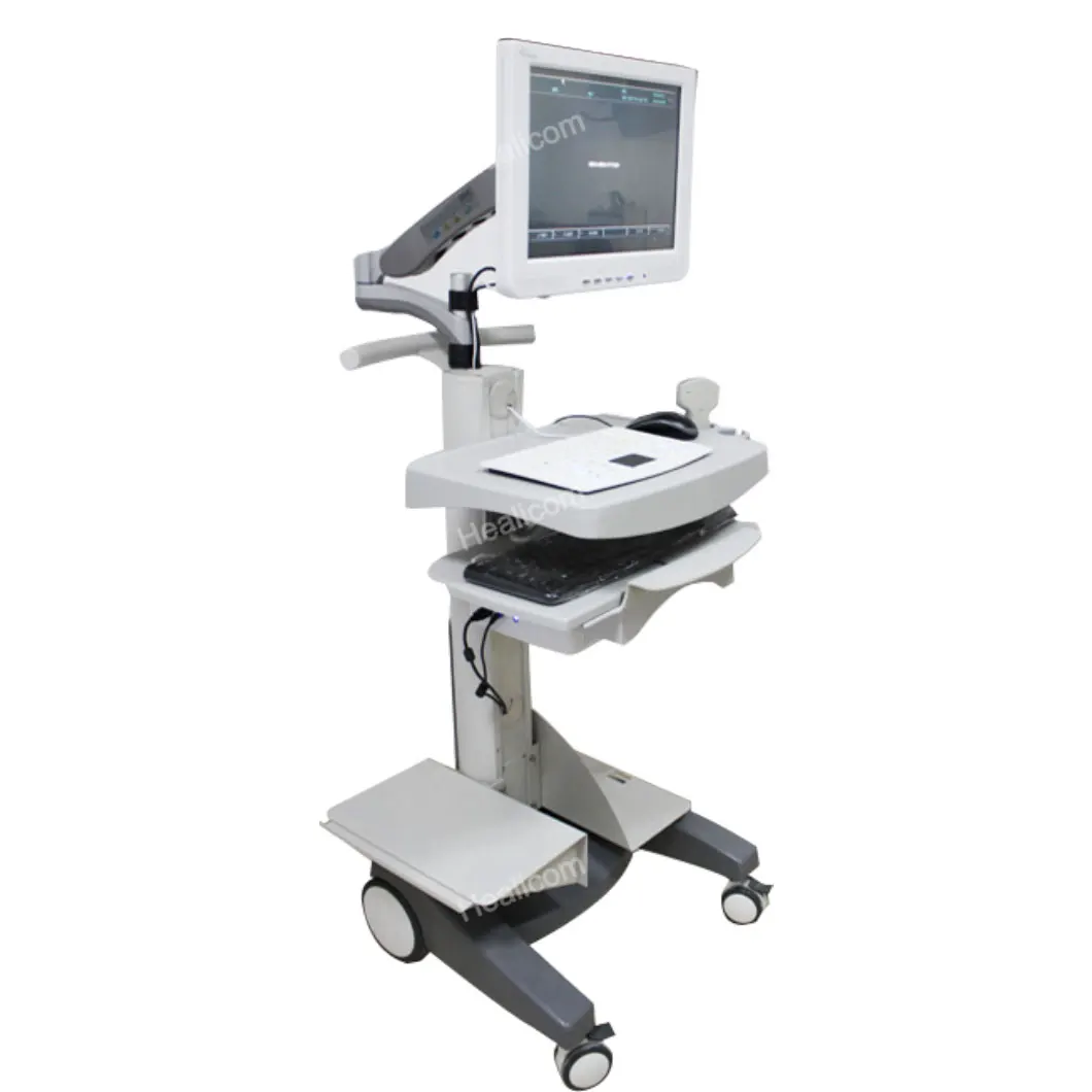 Medical Digital Gynecology 256 level 15 Inch Touch Screen Trolley B/W Ultrasound Scanner System