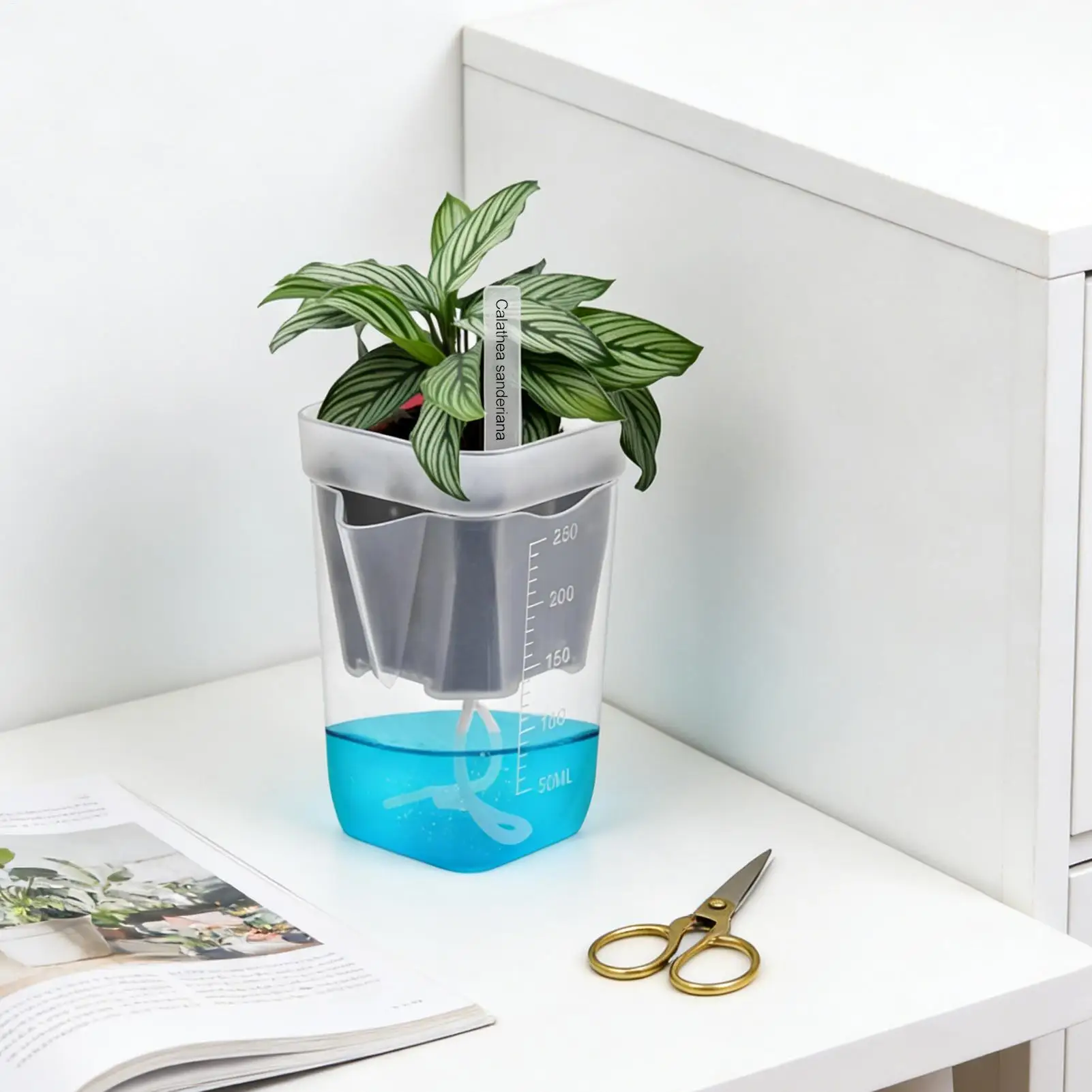 Self Watering Pots 12 Pieces Clear Hydroponic Cups With Drainage Holes Nursery Pots With Water Level Indicator For Living Room