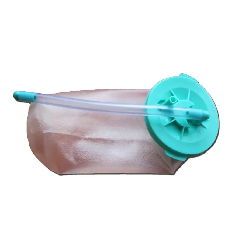 Disposable suction unit drainage bag and suction liner