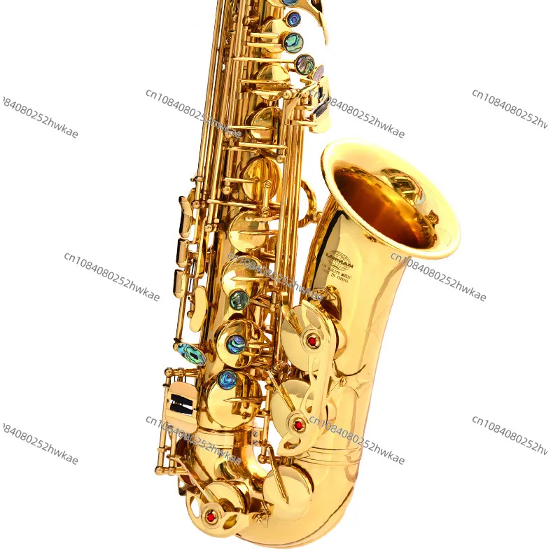 

Gold Lacquered Brass AE-802 Alto Musical Instrument Accessories Professional Eb Chinese Saxophone Alto Saxophone