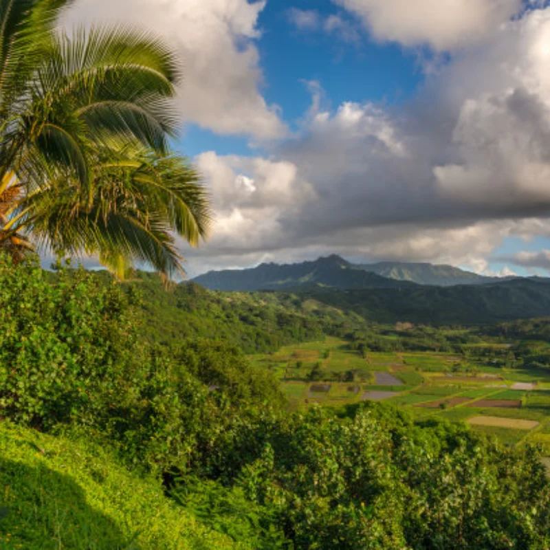 

MJX 10208 V1 V2 Металлический поворотный рычаг Рулевая чашка Ступица Держатель тяги Амортизаторная башня Набор приводных валов RC Детали для обновления автомобиля Аксессуары