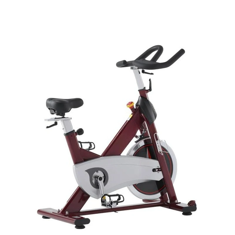 Commercial Spinning Bike Indoor Gym Sports Pedal Cycling Vertical Exercise Bike