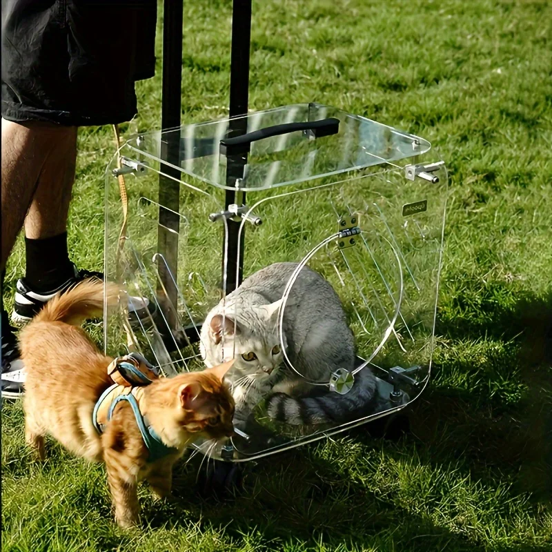 Portable Pet Cat Carrier Suitcase with Wheels, Transparent Hard PC Material, Zip Closure, Telescopic Handle, Breathable Mat,