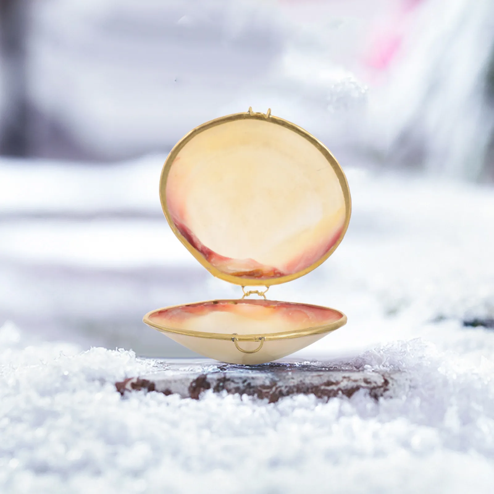 

Small Seashell Jewelry Box Delicate Ring Earrings Necklace Organizer Decorative Storage Display Gift Box Sea Shell Holder