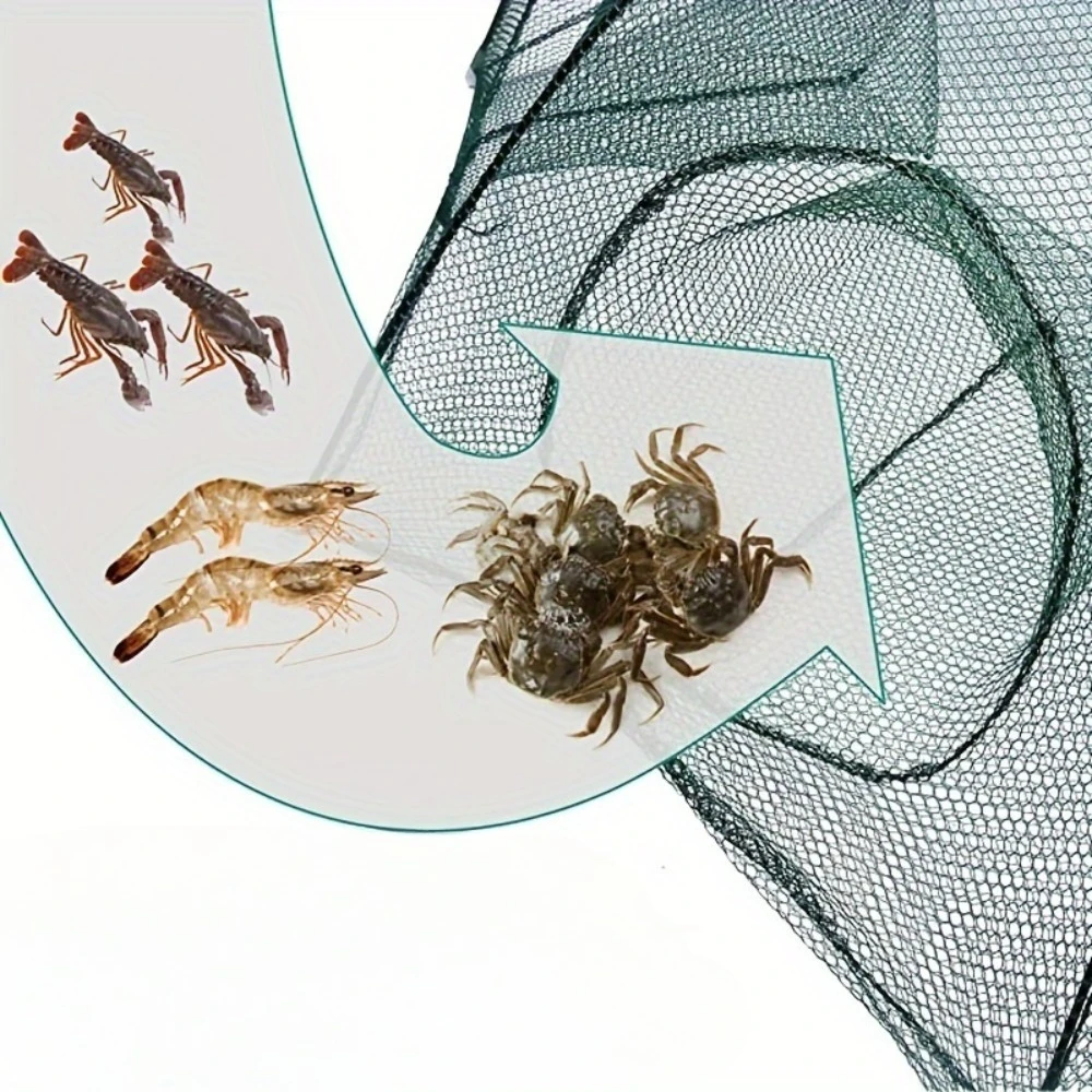 Thumbnail 2 - #52 Budget Fishing Nets for Smart Shoppers