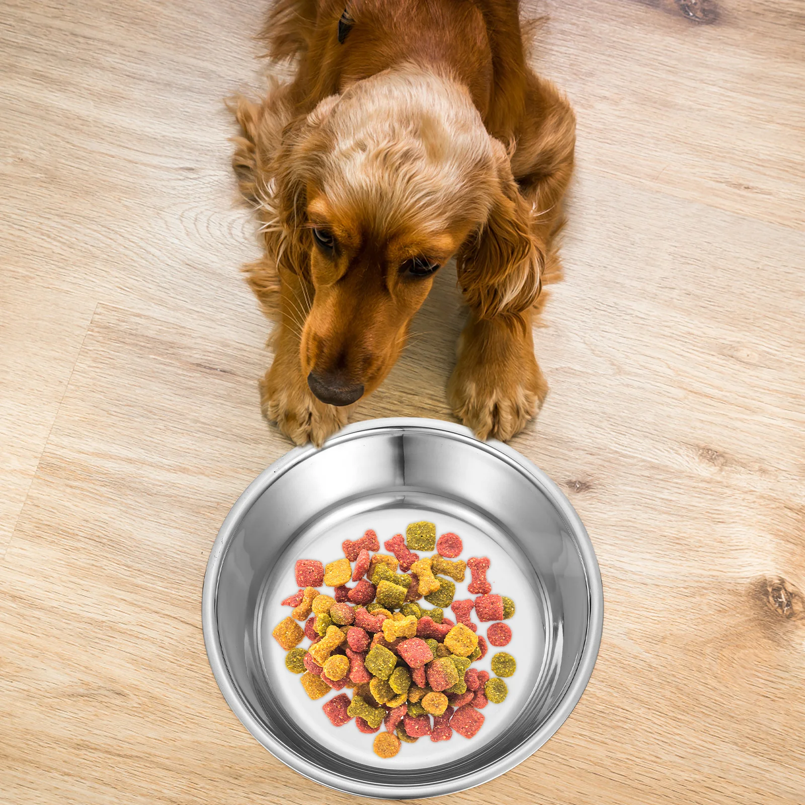 

Stainless Anti-Skid Stainless Steel Dog Feeder Printed Dog Food Bowl Durable Bite Resistant Easy Clean Indoor Pet Feeding Bowl
