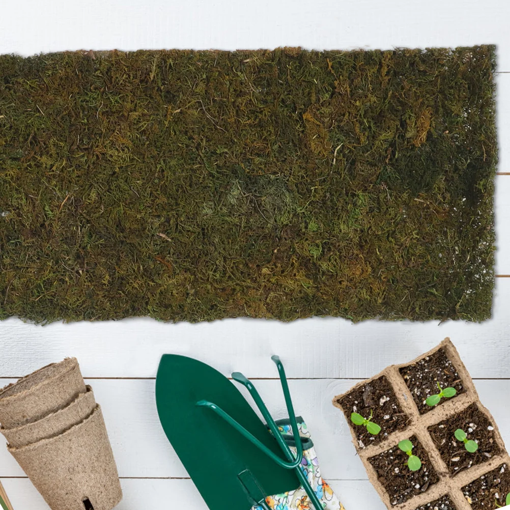 Artificial Moss Turf Micro Landscape Supplies Mini Garden Fake Grass Outdoor Rug False Pad Lichen