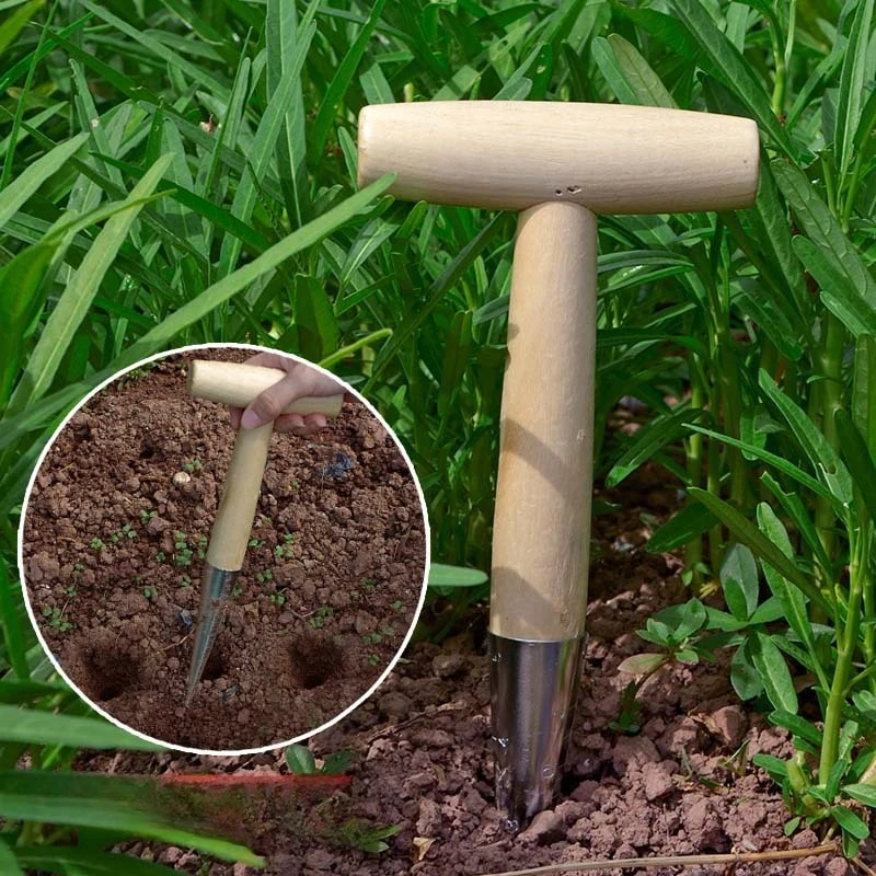 Horticulture Hole Punch Fertilization, Vegetable Seeds, Seedling Transfer, Planting Tools, Wooden Handle, Garden Top Dressing