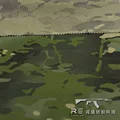 MCTP