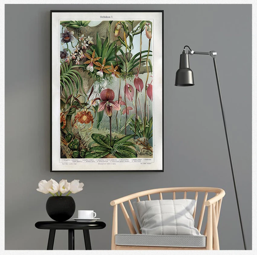 Snapdragon Antique Flowers Plants Wall Art Painting Picture Home Room Decor Orchids Late 1800s Botanical Poster Canvas Prints