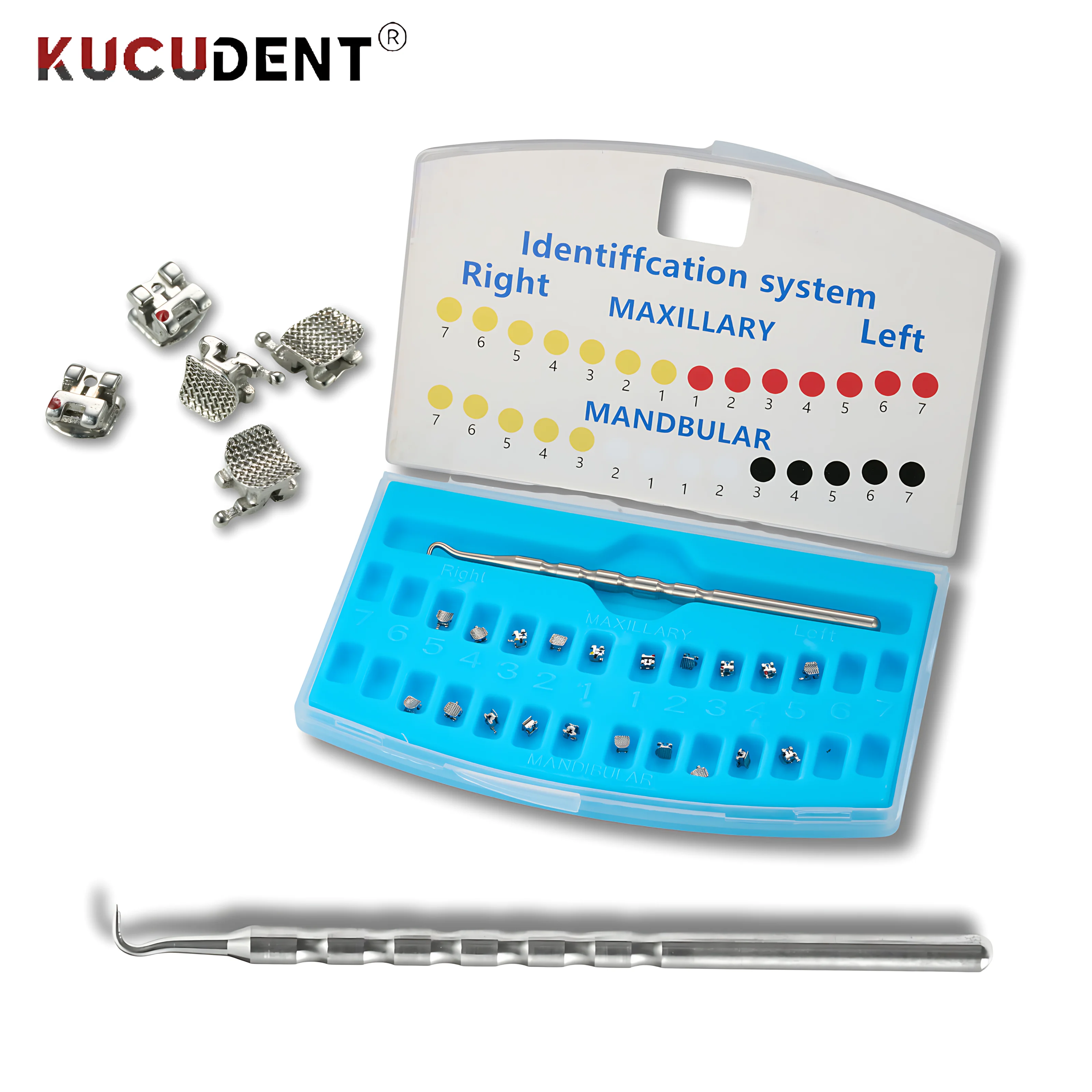 20Pcs Dental Orthod…