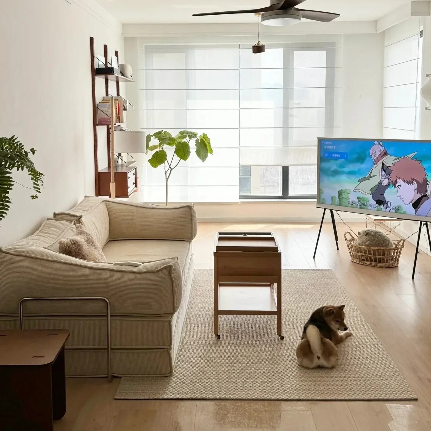 Sofa bed folding dual-purpose 2024 new simple retro small apartment living room double three straight row module sofa