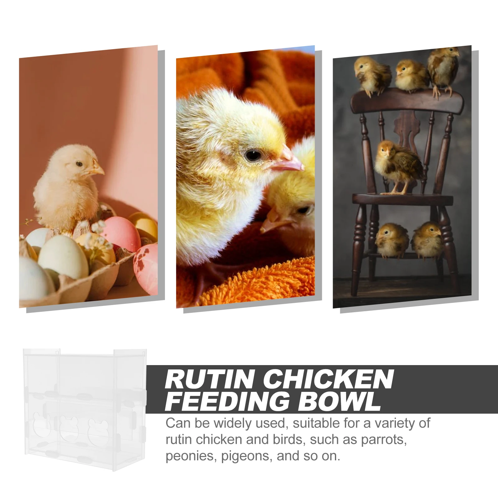 

Rutin Chicken Automatic Feeder Transparent Acrylic Feeding Bowl Multi-Use Poultry Food Holder Chicken Feeding Box